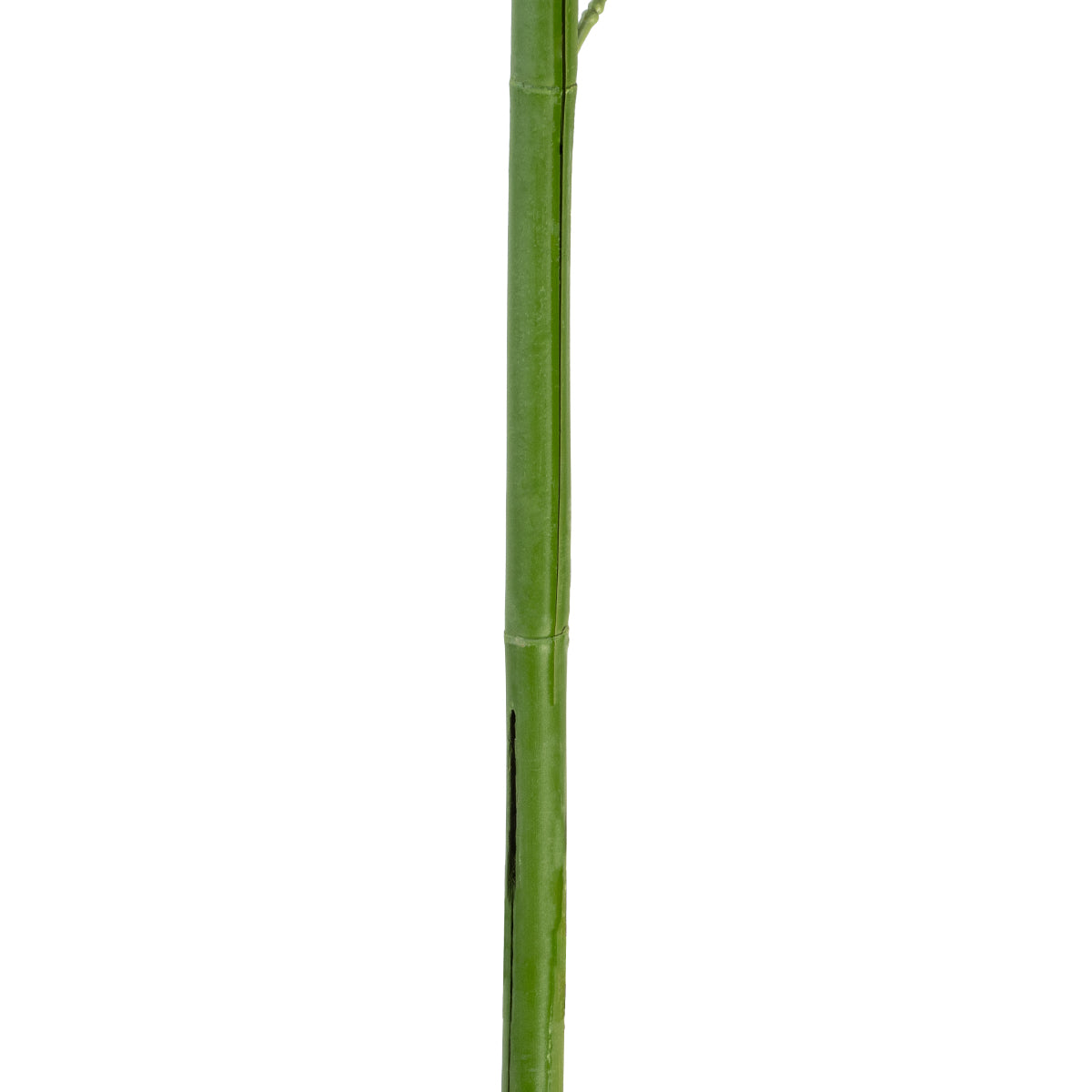 GloboStar® Artificial Garden BAMBOO BRANCH 20440 Τεχνητό Διακοσμητικό Κλαδί Μπαμπού Υ250cm - ledmania.gr