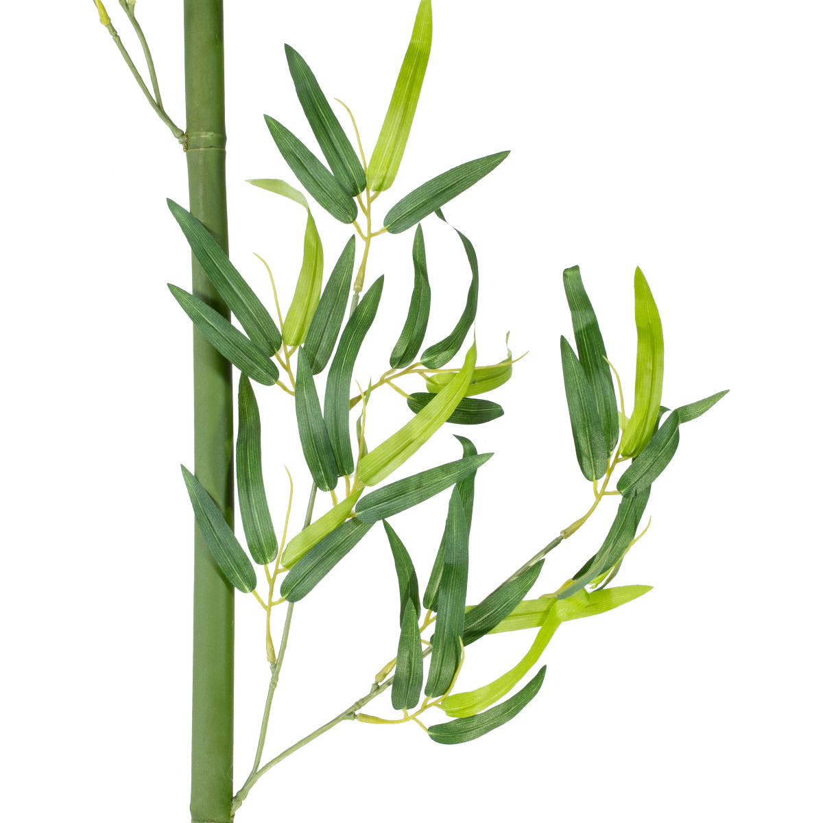GloboStar® Artificial Garden BAMBOO BRANCH 20441 Τεχνητό Διακοσμητικό Κλαδί Μπαμπού Υ300cm - ledmania.gr