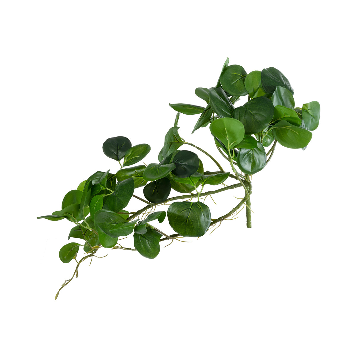 GloboStar® Artificial Garden HANGING PEPEROMIA 20599 Τεχνητό Διακοσμητικό Κρεμαστό Φυτό Πεπερόμια Μ30 x Π31 x Υ50cm - ledmania.gr