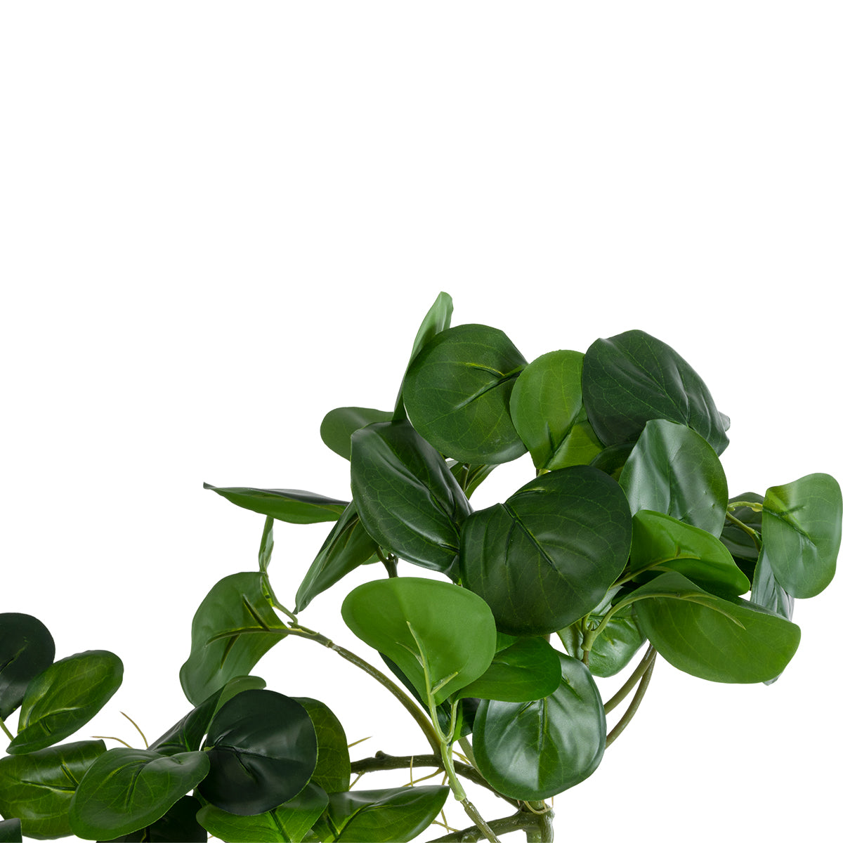 GloboStar® Artificial Garden HANGING PEPEROMIA 20599 Τεχνητό Διακοσμητικό Κρεμαστό Φυτό Πεπερόμια Μ30 x Π31 x Υ50cm - ledmania.gr