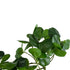 GloboStar® Artificial Garden HANGING PEPEROMIA 20599 Τεχνητό Διακοσμητικό Κρεμαστό Φυτό Πεπερόμια Μ30 x Π31 x Υ50cm - ledmania.gr