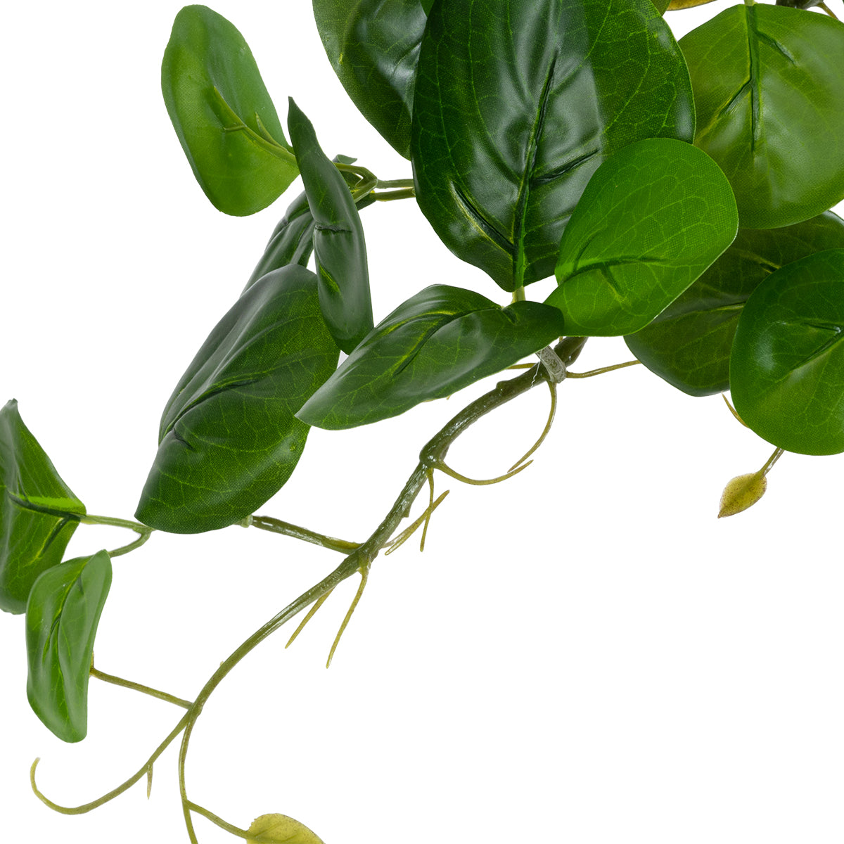 GloboStar® Artificial Garden HANGING PEPEROMIA 20599 Τεχνητό Διακοσμητικό Κρεμαστό Φυτό Πεπερόμια Μ30 x Π31 x Υ50cm - ledmania.gr
