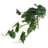 GloboStar® Artificial Garden HANGING MONSTERA 20600 Τεχνητό Διακοσμητικό Κρεμαστό Φυτό Μονστέρα Μ28 x Π30 x Υ50cm - ledmania.gr