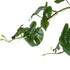 GloboStar® Artificial Garden HANGING MONSTERA 20600 Τεχνητό Διακοσμητικό Κρεμαστό Φυτό Μονστέρα Μ28 x Π30 x Υ50cm - ledmania.gr