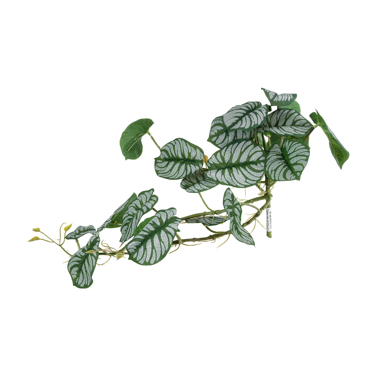 GloboStar® Artificial Garden HANGING ALOCASIA 20601 Τεχνητό Διακοσμητικό Κρεμαστό Φυτό Αλοκάσια Μ28 x Π27 x Υ50cm - ledmania.gr