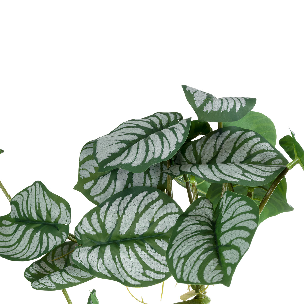 GloboStar® Artificial Garden HANGING ALOCASIA 20601 Τεχνητό Διακοσμητικό Κρεμαστό Φυτό Αλοκάσια Μ28 x Π27 x Υ50cm - ledmania.gr