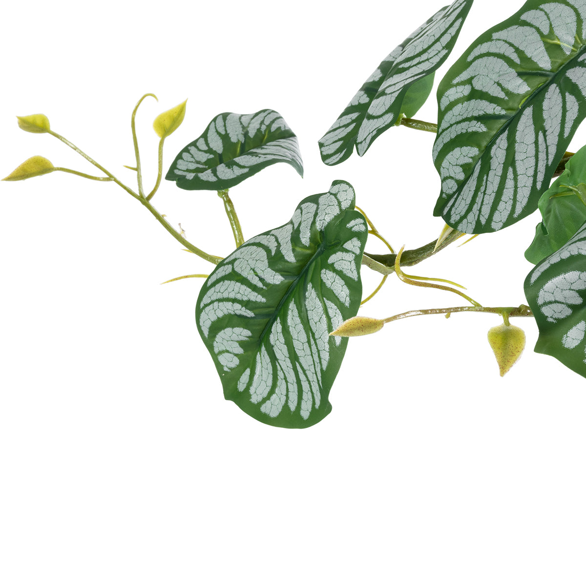 GloboStar® Artificial Garden HANGING ALOCASIA 20601 Τεχνητό Διακοσμητικό Κρεμαστό Φυτό Αλοκάσια Μ28 x Π27 x Υ50cm - ledmania.gr