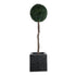 GloboStar® Artificial Garden CATALONIA 20767 Επιδαπέδιο Πολυεστερικό Τσιμεντένιο Κασπώ Γλάστρα - Flower Pot Μαύρο Μ30 x Π30 x Υ30cm - ledmania.gr