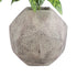 GloboStar® Artificial Garden BOROUGH 20781 Επιδαπέδιο Πολυεστερικό Τσιμεντένιο Κασπώ Γλάστρα - Flower Pot Λευκό - Μπεζ Μ38 x Π38 x Υ38cm - ledmania.gr