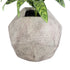 GloboStar® Artificial Garden BOROUGH 20781 Επιδαπέδιο Πολυεστερικό Τσιμεντένιο Κασπώ Γλάστρα - Flower Pot Λευκό - Μπεζ Μ38 x Π38 x Υ38cm - ledmania.gr