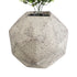 GloboStar® Artificial Garden BOROUGH 20782 Επιδαπέδιο Πολυεστερικό Τσιμεντένιο Κασπώ Γλάστρα - Flower Pot Λευκό - Μπεζ Μ30 x Π30 x Υ30cm - ledmania.gr