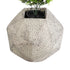 GloboStar® Artificial Garden BOROUGH 20782 Επιδαπέδιο Πολυεστερικό Τσιμεντένιο Κασπώ Γλάστρα - Flower Pot Λευκό - Μπεζ Μ30 x Π30 x Υ30cm - ledmania.gr
