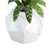 GloboStar® Artificial Garden BRIXTON 20783 Επιδαπέδιο Πολυεστερικό Τσιμεντένιο Κασπώ Γλάστρα - Flower Pot Λευκό Μ38 x Π38 x Υ38cm - ledmania.gr