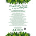 GloboStar® Artificial Garden CAMDEN 20789 Επιδαπέδιο Πολυεστερικό Τσιμεντένιο Κασπώ Γλάστρα - Flower Pot Μαύρο Μ49 x Π49 x Υ44cm - ledmania.gr