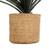 GloboStar® Artificial Garden MEDRANO 20799 ΣΕΤ 2 Διακοσμητικά Πολυεστερικά Τσιμεντένιά Κασπώ Γλάστρες - Flower Pots Μπεζ A:Φ25 x Υ23cm B:Φ25 x Υ23cm - ledmania.gr
