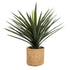 GloboStar® Artificial Garden MEDRANO 20799 ΣΕΤ 2 Διακοσμητικά Πολυεστερικά Τσιμεντένιά Κασπώ Γλάστρες - Flower Pots Μπεζ A:Φ25 x Υ23cm B:Φ25 x Υ23cm - ledmania.gr