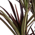 GloboStar® Artificial Garden DRAGON BLOOD TREE 20970 Τεχνητό Διακοσμητικό Φυτό Δράκαινα Φ60 x Υ140cm - ledmania.gr