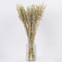 GloboStar® WILDOAT 36501 Αποξηραμένο Φυτό Αγριοβρώμη - Μπουκέτο Διακοσμητικών Κλαδιών Μπεζ - Πράσινο Υ60cm - ledmania.gr