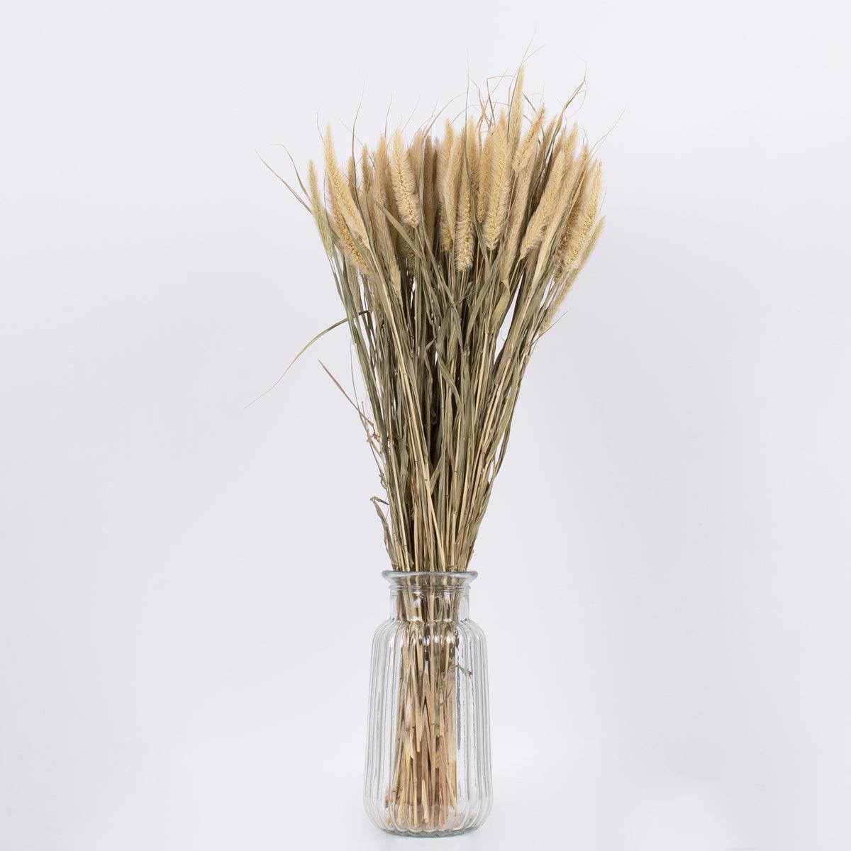 GloboStar® PENNISETUM 36503 Αποξηραμένο Φυτό Πεννήσιο - Μπουκέτο Διακοσμητικών Κλαδιών Μπεζ - Πράσινο Υ60cm - ledmania.gr