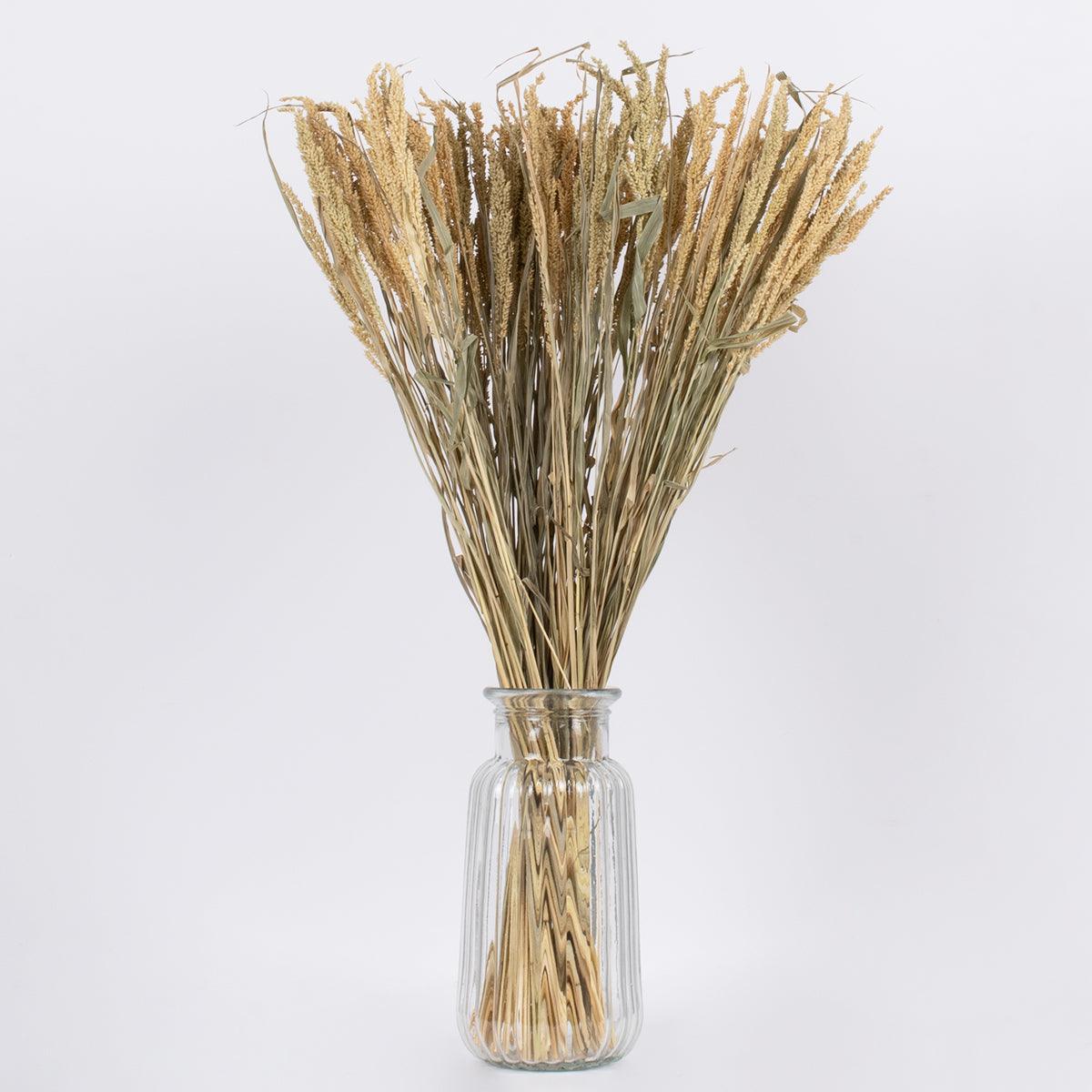 GloboStar® ERICAGRASS 36504 Αποξηραμένο Φυτό Έρρικα - Μπουκέτο Διακοσμητικών Κλαδιών Μπεζ - Πράσινο Υ60cm - ledmania.gr