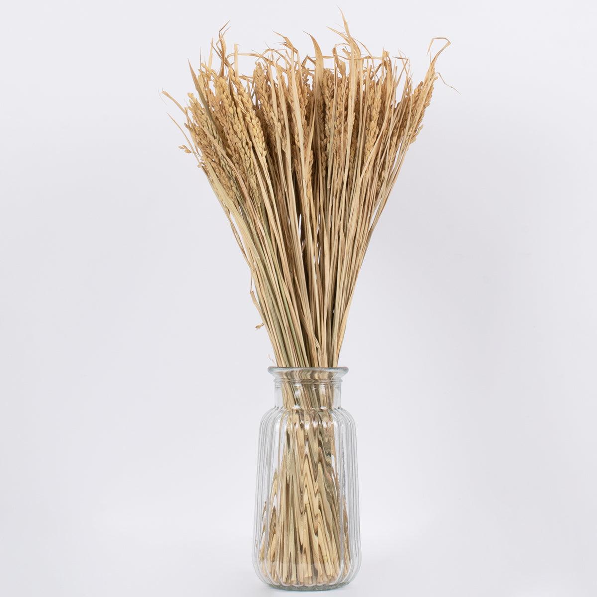 GloboStar® RISEGRASS 36505 Αποξηραμένο Φυτό Ρύζι - Μπουκέτο Διακοσμητικών Κλαδιών Μπεζ Υ60cm - ledmania.gr