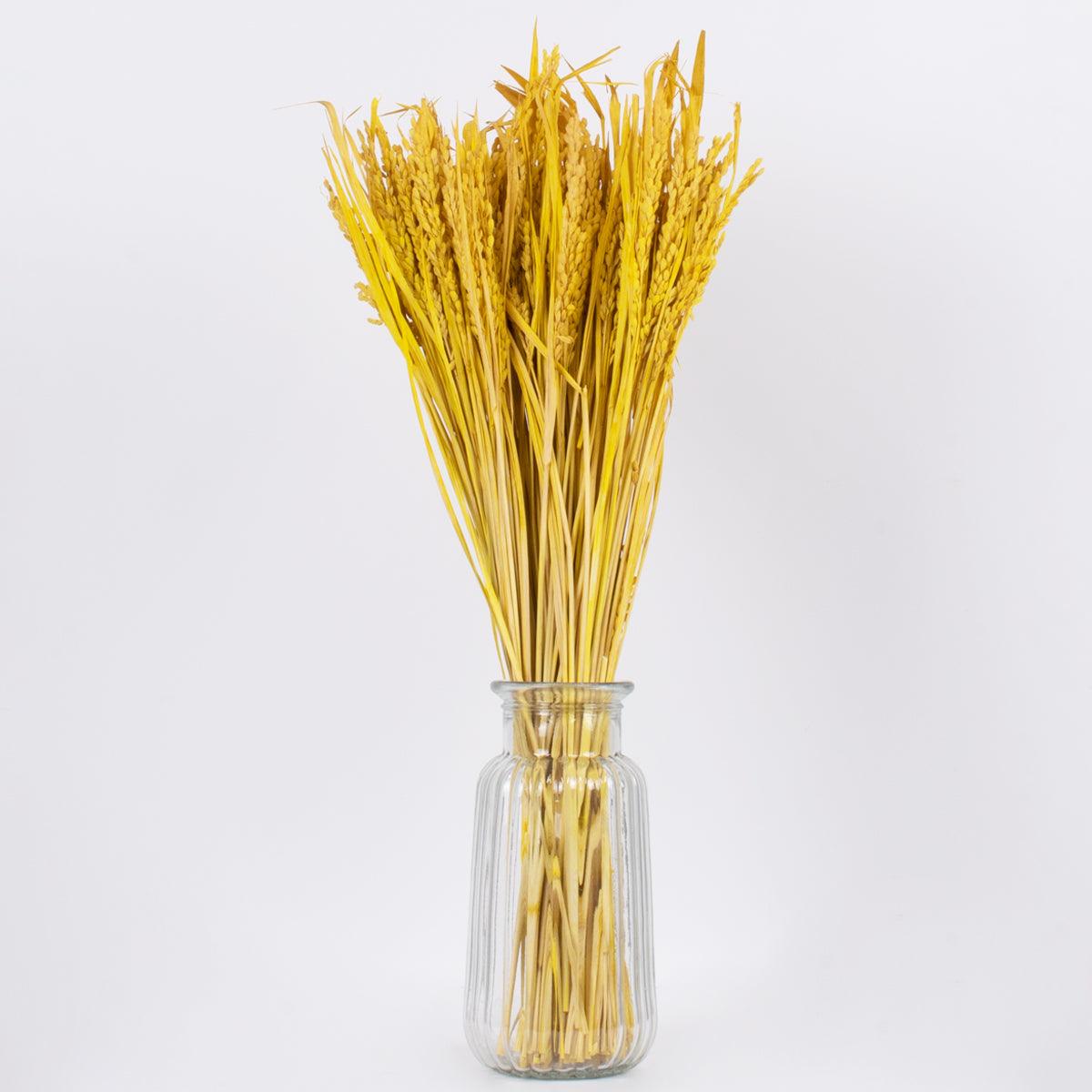 GloboStar® RISEGRASS 36506 Αποξηραμένο Φυτό Ρύζι - Μπουκέτο Διακοσμητικών Κλαδιών Μπεζ - Κίτρινο Υ60cm - ledmania.gr