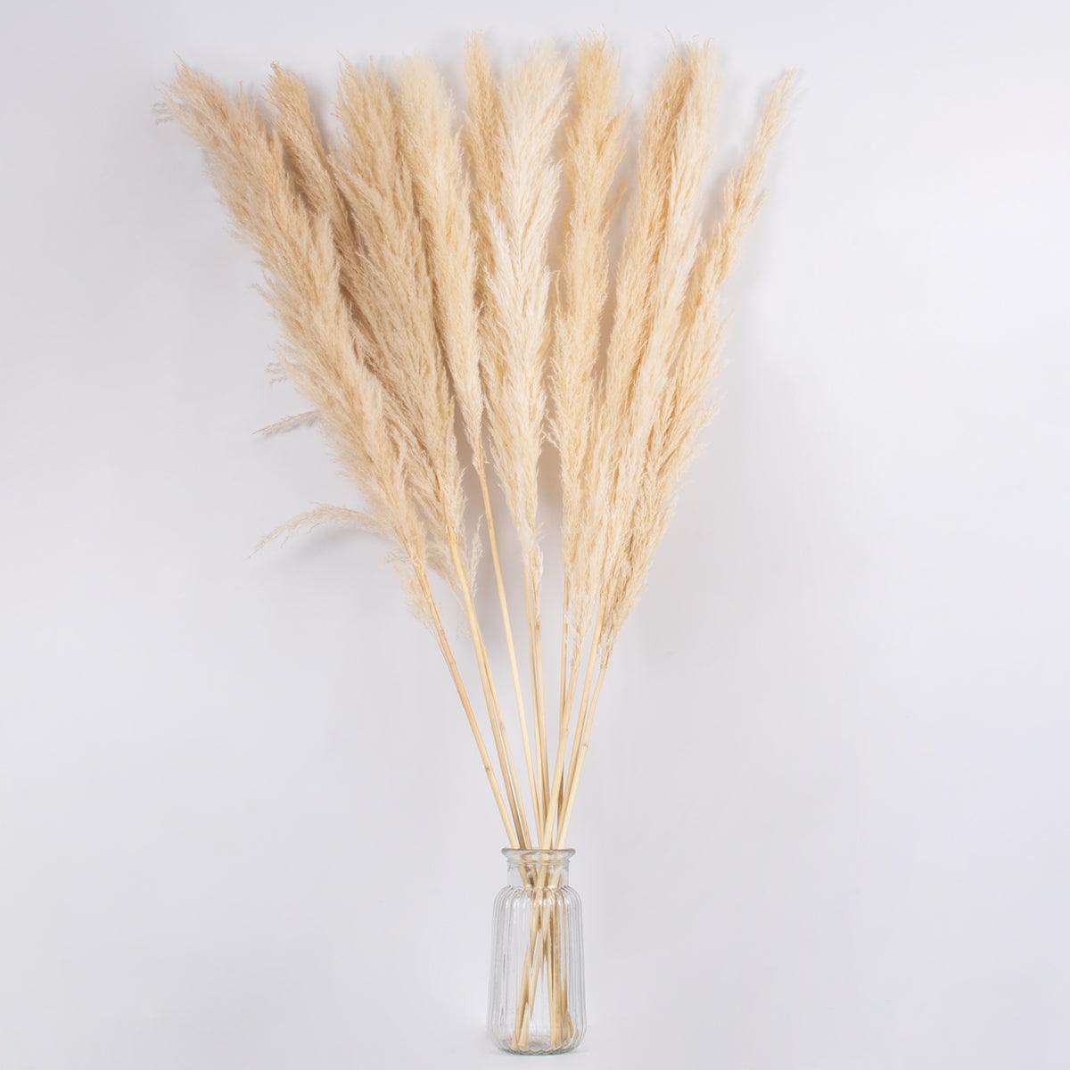 GloboStar® PAMPASGRASS 36509 Αποξηραμένο Φυτό Γρασίδι της Πάμπας - Μπουκέτο Διακοσμητικών Κλαδιών Μπεζ - Εκρού Υ120cm - ledmania.gr