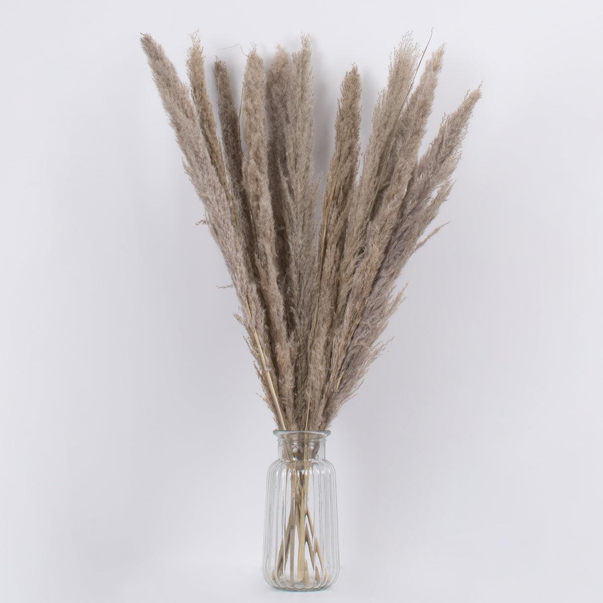 GloboStar® PAMPASGRASS 36511 Αποξηραμένο Φυτό Γρασίδι της Πάμπας - Μπουκέτο Διακοσμητικών Κλαδιών Καφέ - Γκρι Υ80cm - ledmania.gr