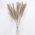 GloboStar® PAMPASGRASS 36512 Αποξηραμένο Φυτό Γρασίδι της Πάμπας - Μπουκέτο Διακοσμητικών Κλαδιών Καφέ - Γκρι Υ100cm - ledmania.gr
