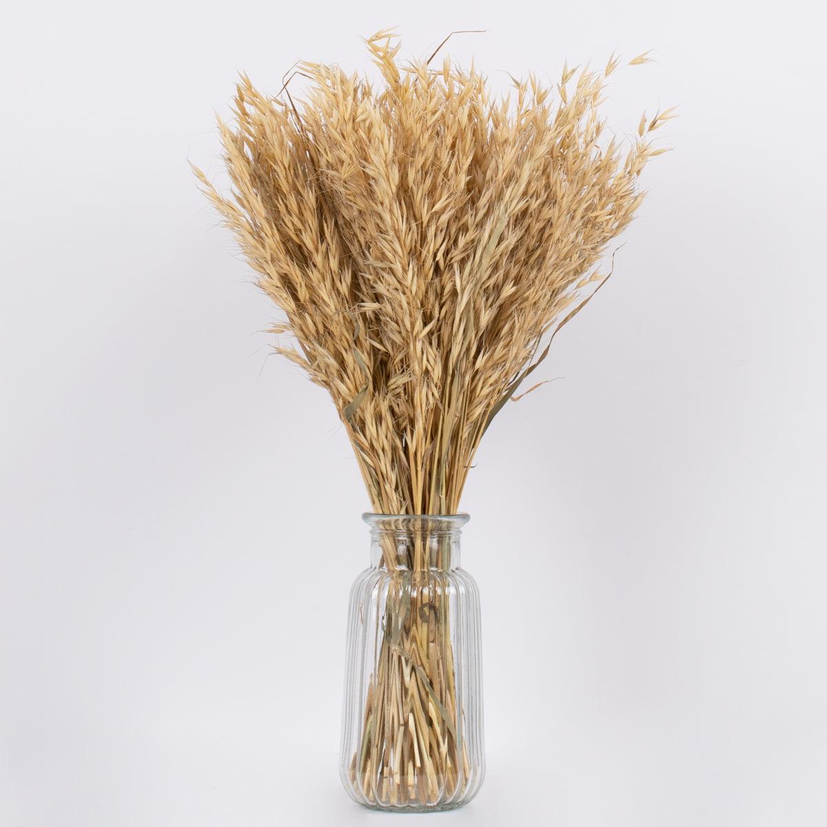 GloboStar® WILDOAT 36543 Αποξηραμένο Φυτό Αγριοβρώμη - Μπουκέτο Διακοσμητικών Κλαδιών Μπεζ Υ60cm - ledmania.gr