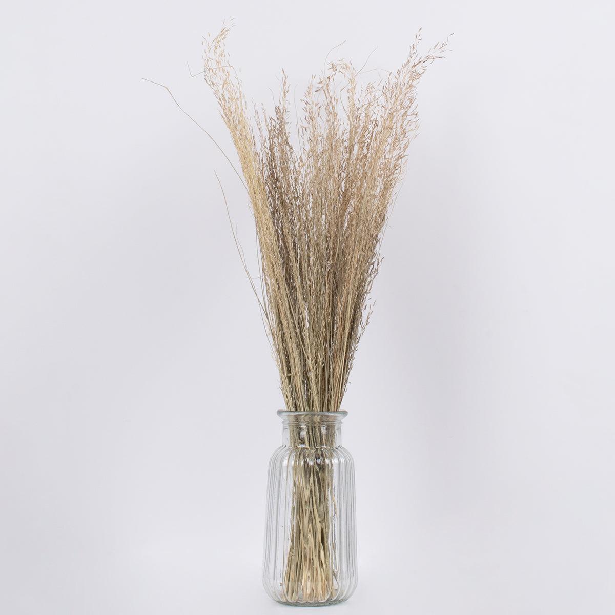 GloboStar® SILVERHAIRGRASS 36545 Αποξηραμένο Φυτό Ασημένια Χλόη - Μπουκέτο Διακοσμητικών Κλαδιών Μπεζ Υ60cm - ledmania.gr