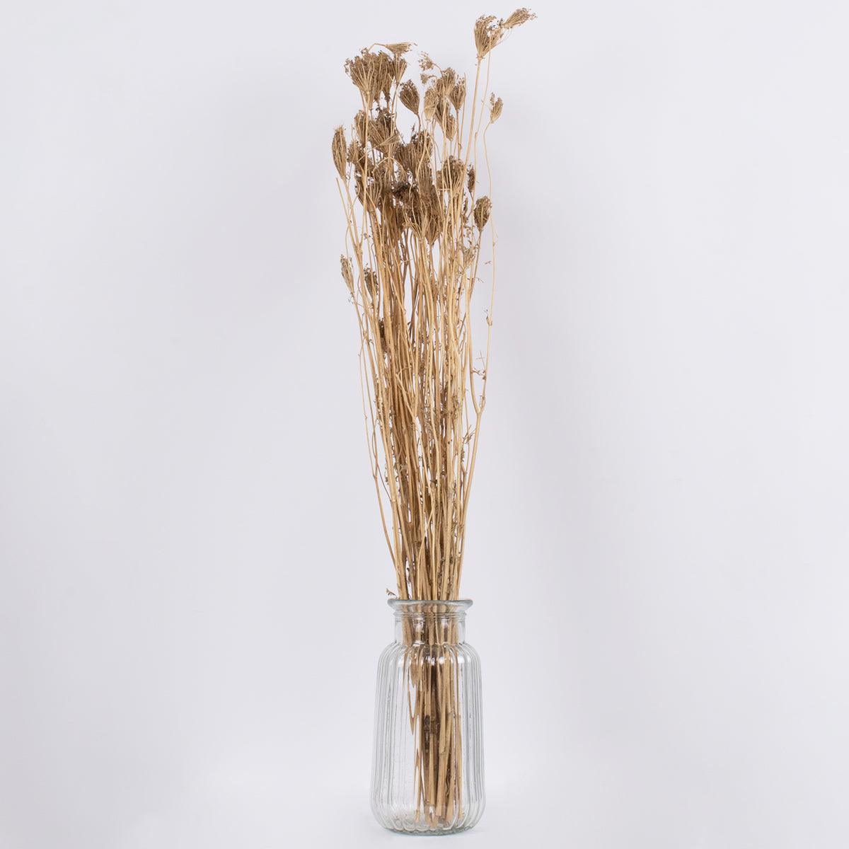 GloboStar® WILDCARROT 36547 Αποξηραμένο Φυτό Άγριο Καρότο - Μπουκέτο Διακοσμητικών Κλαδιών Μπεζ Υ80cm - ledmania.gr