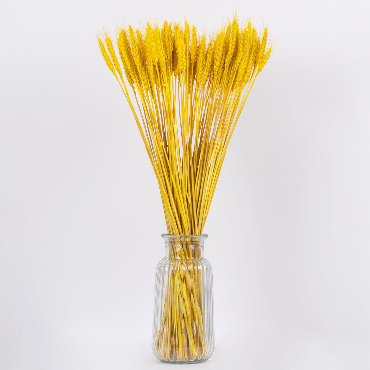 GloboStar® BARLEY 36552 Αποξηραμένο Φυτό Κριθάρι - Μπουκέτο Διακοσμητικών Κλαδιών Μπεζ - Κίτρινο Υ60cm - ledmania.gr