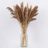 GloboStar® BROOMCORN 36553 Αποξηραμένο Φυτό Γλυκό Σόργο - Μπουκέτο Διακοσμητικών Κλαδιών Καφέ Υ60cm - ledmania.gr