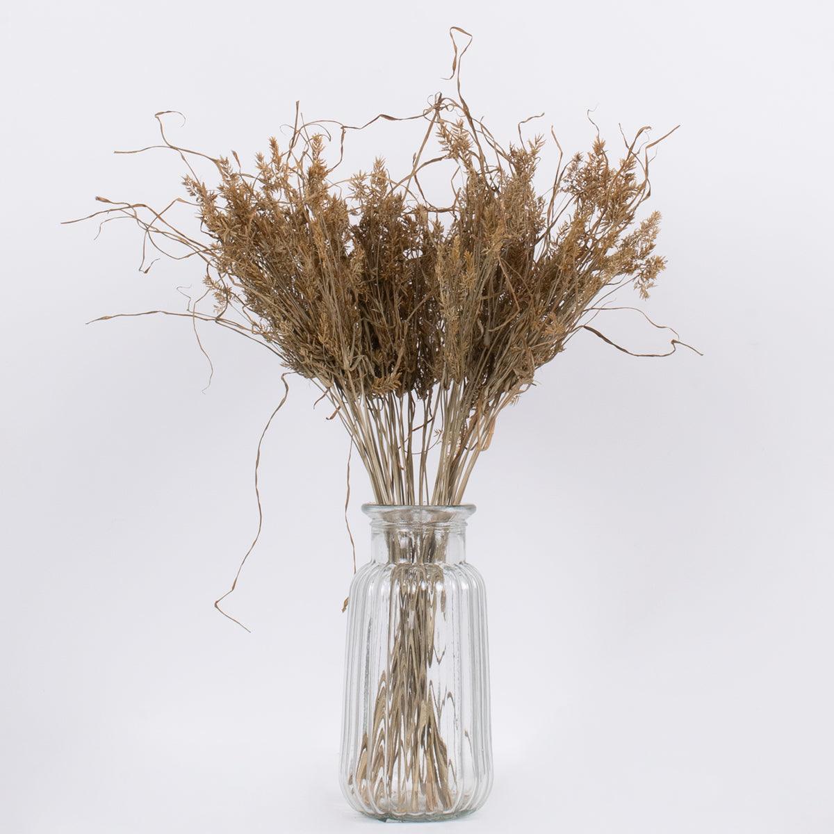 GloboStar® FERNGRASS 36556 Αποξηραμένο Φυτό Φτερόχορτο - Μπουκέτο Διακοσμητικών Κλαδιών Μπεζ Υ60cm - ledmania.gr