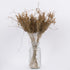 GloboStar® FERNGRASS 36556 Αποξηραμένο Φυτό Φτερόχορτο - Μπουκέτο Διακοσμητικών Κλαδιών Μπεζ Υ60cm - ledmania.gr