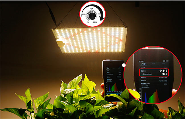 Full Spectrum Dimmable 800watt-64000Lm-PPFD 908 umol-Led Panel για Ανάπτυξη Φυτων-230volt