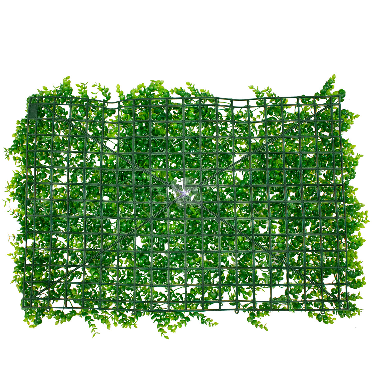 GloboStar® 78416 Artificial - Συνθετικό Τεχνητό Διακοσμητικό Πάνελ Φυλλωσιάς - Κάθετος Κήπος Καυκάσιο Πυξάρι Πράσινο Μ60 x Υ40 x Π4cm - ledmania.gr