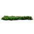 GloboStar® 78425 Artificial - Συνθετικό Τεχνητό Διακοσμητικό Πάνελ Φυλλωσιάς - Κάθετος Κήπος Πεπερομία - Πράσινο Μ60 x Υ40 x Π8cm - ledmania.gr