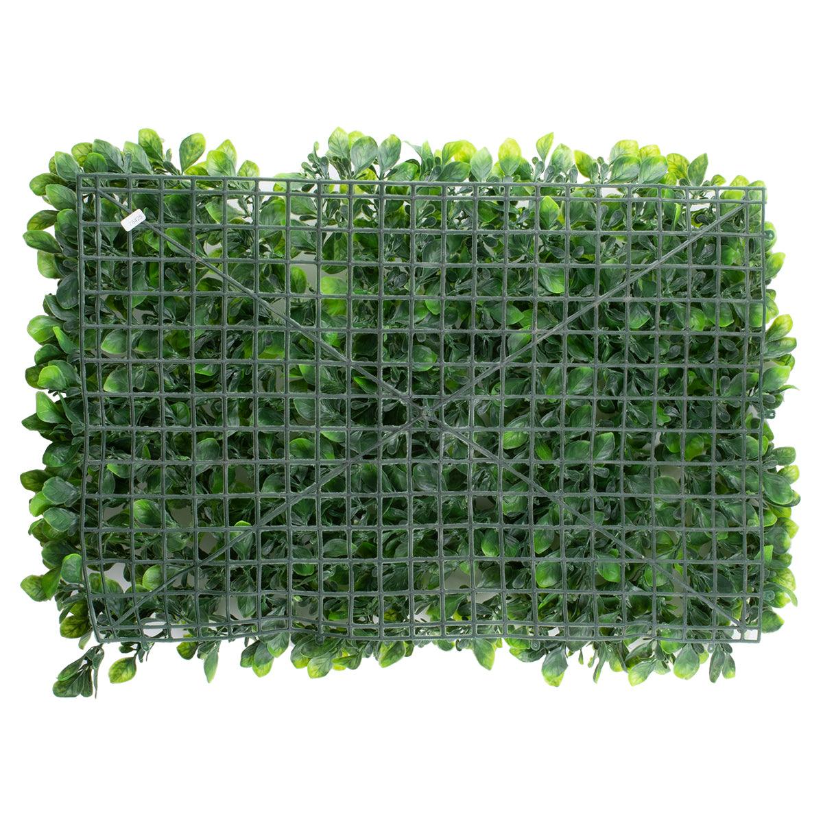 GloboStar® 78425 Artificial - Συνθετικό Τεχνητό Διακοσμητικό Πάνελ Φυλλωσιάς - Κάθετος Κήπος Πεπερομία - Πράσινο Μ60 x Υ40 x Π8cm - ledmania.gr