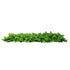 GloboStar® 78426 Artificial - Συνθετικό Τεχνητό Διακοσμητικό Πάνελ Φυλλωσιάς - Κάθετος Κήπος Λέιλαντ - Πράσινο Μ60 x Υ40 x Π9cm - ledmania.gr