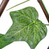GloboStar® Artificial Garden IVY 78497 Πτυσσόμενη Πέργκολα Τεχνητής Φυλλωσιάς - Κάθετος Κήπος Σύνθεση Κισσός Μ110 x Π10 x Υ120cm (min) Μ310 x Π10 x Υ45cm (max) - ledmania.gr