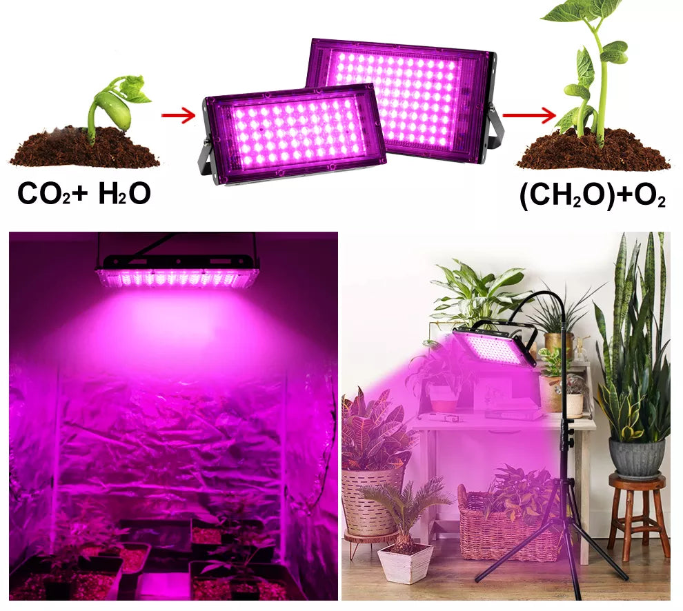 100w-Πλήρους φάσματος LED Φωτισμός ανάπτυξης φυτών AC220V με διακόπτη On-Off για υδροπονικό φωτισμό φυτών θερμοκηπίου-τεμ1