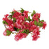 GloboStar® 09021 Τεχνητό Κρεμαστό Φυτό Διακοσμητική Γιρλάντα Μήκους 2.2 μέτρων με 18 X Άνθη Κερασιάς Φούξια - ledmania.gr