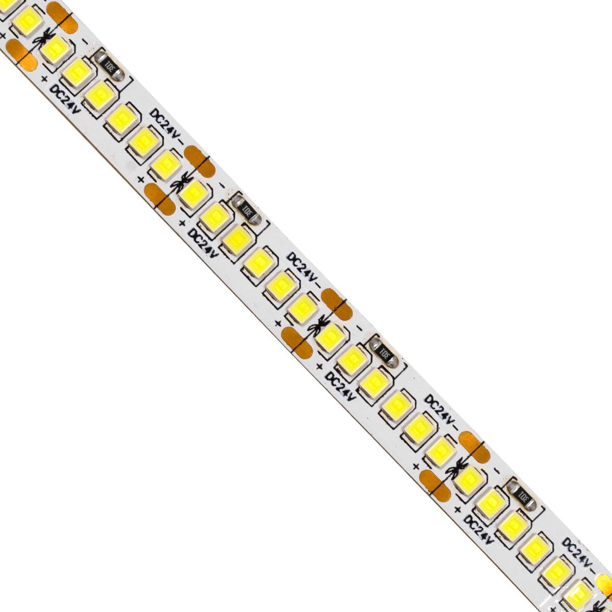 GloboStar® 70240 Ταινία LED SMD 2835 5m 16W/m 240LED/m 2880lm/m 120° DC 24V IP20 Ψυχρό Λευκό 6000K - ledmania.gr