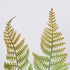 GloboStar® FERN 78269 Τεχνητό Φυτό Φτέρη - Μπουκέτο Διακοσμητικών Φυτών - Κλαδιών με Φύλλωμα Πράσινο - Καφέ Υ45cm - ledmania.gr