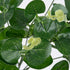 GloboStar® EUCALYPTUS 78295 Τεχνητό Φυτό Ευκάλυπτος - Μπουκέτο Διακοσμητικών Φυτών - Κλαδιών με Φύλλωμα Πράσινο - Λευκό Υ45cm - ledmania.gr