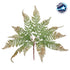 GloboStar® FERN 78269 Τεχνητό Φυτό Φτέρη - Μπουκέτο Διακοσμητικών Φυτών - Κλαδιών με Φύλλωμα Πράσινο - Καφέ Υ45cm - ledmania.gr