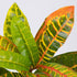 GloboStar® MIXED CROTON 78235 Τεχνητό Φυτό Κρότωνας Μιξ - Μπουκέτο Διακοσμητικών Φυτών - Κλαδιών με Φύλλωμα Πράσινο - Πορτοκαλί - Κίτρινο Υ35cm - ledmania.gr